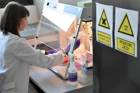 Young researchers, IT experts and medical staffers are needed in Slovakia, illustrative stock photo. 