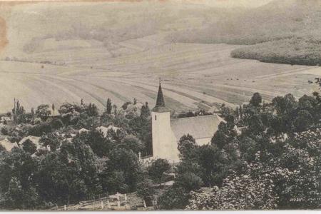 Buková