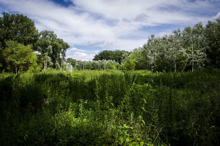 Reforestation of the Sihoť island. 