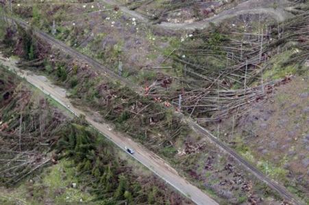 Previous gales have already damaged the forests in the High Tatras. 