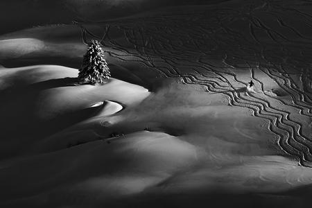 Sony World Photography Awards 2016, Slovak national winner: Peter Svoboda - Passing By