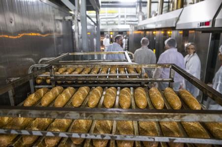 Bakery, illustartive stock photo