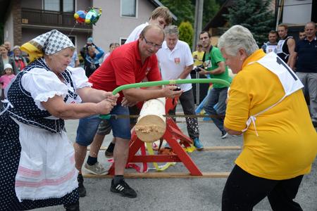 Seventeen pairs overall competed in sawing wood