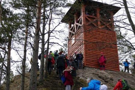 Strečno lookout tower on the Špicák hill. 