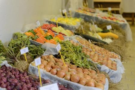 Vegetables, illustrative stock photo