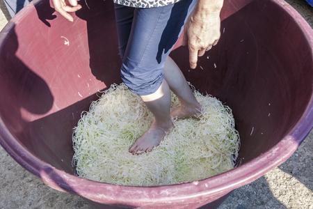Sauerkraut from Stupava achieved Protected Designation of Origin (PDO)