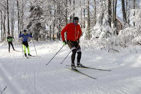 Want to do cross-country skiing? Visit Skalka
