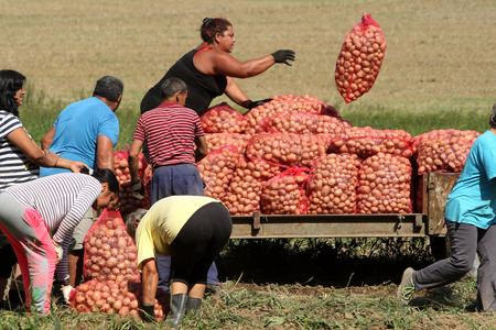 Employment of Roma people remains Slovakia’s perpetual problem