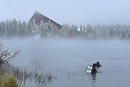 A diver entered the 8 degree Celsius water.