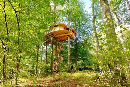 The tree-house at Kačín 