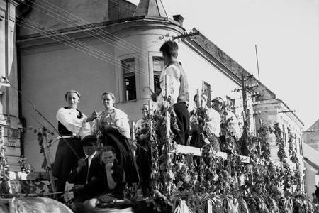 The grapes harvest of September 23, 1945 in Modra