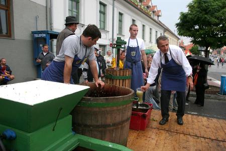 Grape harvesting and wine-making is a ritual. 