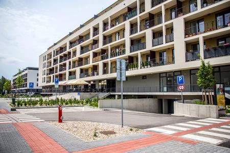 Slnečnice