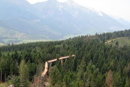 Tatras offer a walk in the treetops