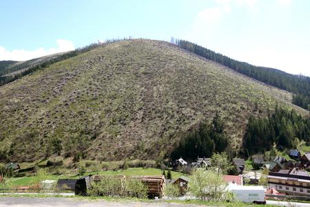 The hill without trees.