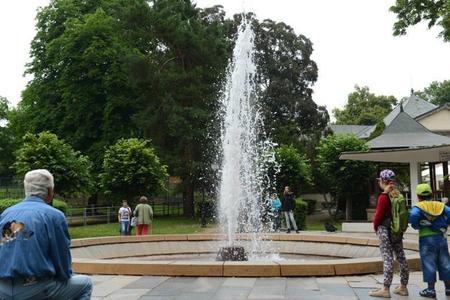 Geyser in Herľany 