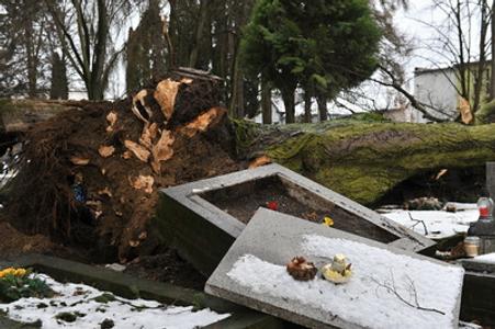 The graves of personalities of nation-wide importance, as well as many others, were damaged during a windstorm on December 2.  