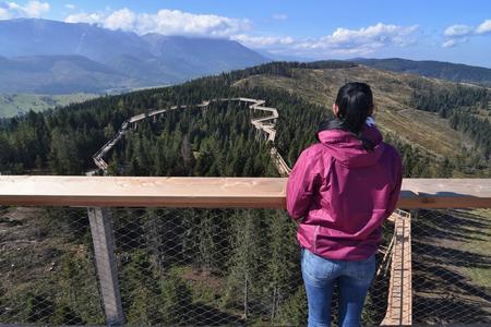 View from the path in the treetops in Bachledova Dolina.