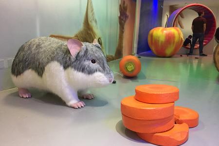 Experimental gallery shrinks visitors to fit in a hamster tank