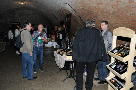 Day of wine cellars 2013 in Trnava