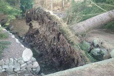 Firefighters helped remove the consequences of strong winds.