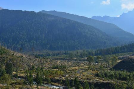 I haven’t had the heart to hike again in the Tatras after the 2004 windstorm.