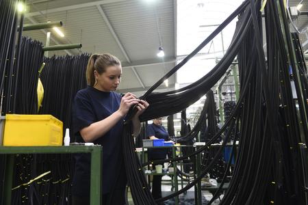 Dongil Rubber Belt in Považská Bystrica
