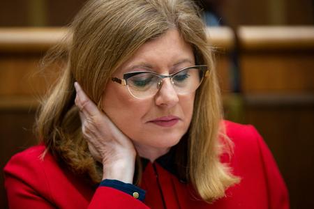 Agriculture Minister Gabriela Matečná (SNS nominee) opposes the EC's decision to suspend the special levy.