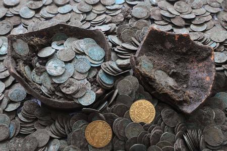 Boars dug out a treasure of coins from the turn of 15th and 16th century