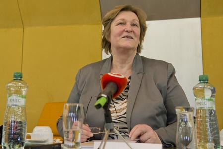 Nominees for ombudsperson on human rights, plans and fascism
