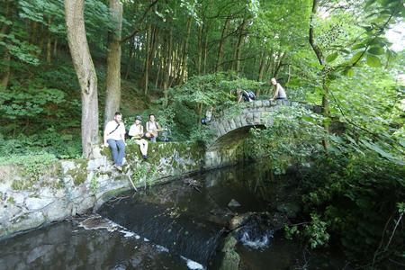 A bridge over the Vydrica brook in the Bratislava city forest.