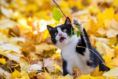 Illsutrative stock photo