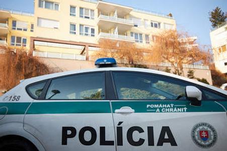 Ex-policeman: Raids at Bašternák were suspicious
