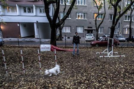 Dog park on Poľná Street