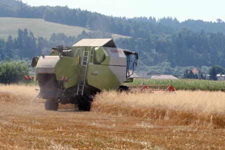 This year the harvest of cereals will be lower in Slovakia.