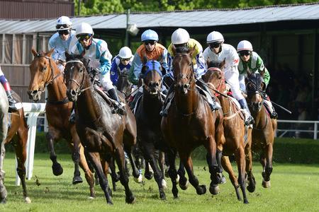 Horse races, illustrative stock photo