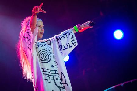 Die Antwoord, Pohoda festival 2015