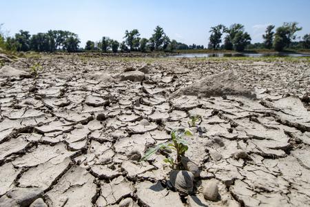 The banks of the low Danube river are seen in Mariaposching, southern Germany, Aug.1, 2018.
