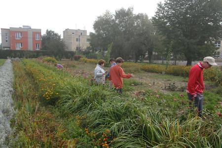 Natural garden in Trenčín