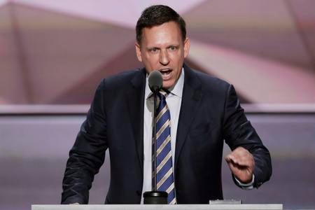 Peter Thiel speaking in 2016 (AP Photo/J. Scott Applewhite, File)