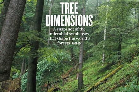 Slovak primaeval forest made cover of prestigious magazine