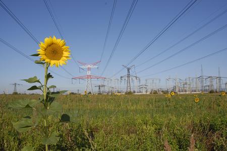 Laws passed in 2018 should serve as a new framework for green energy support. 