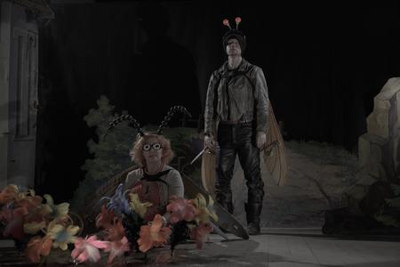 The Insects
