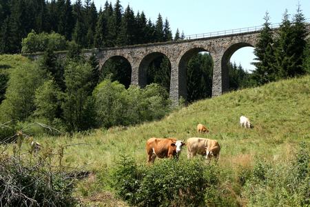 Viaduct in Telgárt