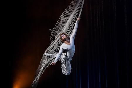 Cirque du Soleil: Varekai