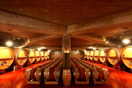 Award-winning winery putting Slovak wines on the map