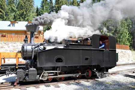 Historical engine at the Orava Forest Railway
