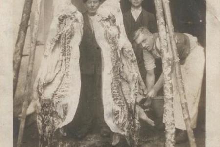 Butchery used to be a profitable, well-respected craft.