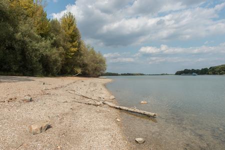 Four-legged mowers return Veľkolélsky Island to life