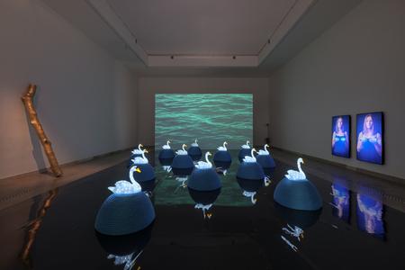 Jana Želibská: Swan Song Now / Labutia pieseň teraz; multi-media installation. 2017. 